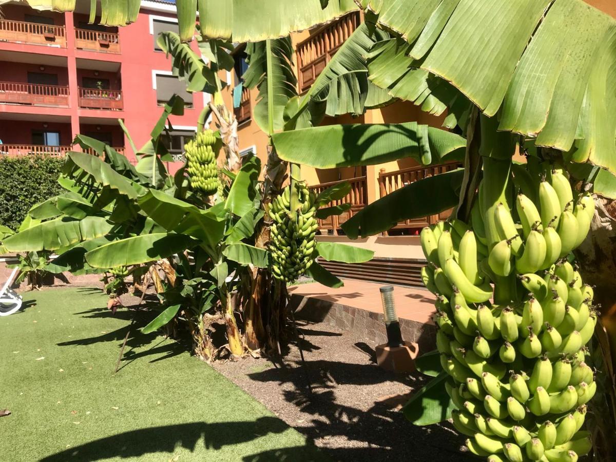 El Mocan Luxury Apartment Palm-mar Eksteriør billede